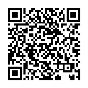 雷林愕然地看见它提着吃剩下的蛇颈陆龟尸体猛地飞起二维码生成