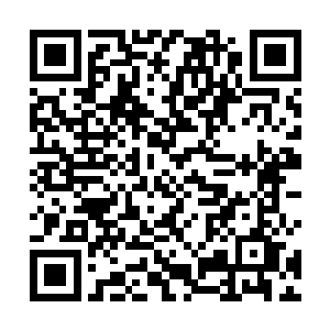 雷林感觉自己似乎找到了那位梦魇之王强大无比的原因二维码生成