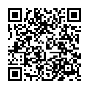 雷林才骇然发现这头牧羊犬脸部有着复杂的黑色花纹二维码生成