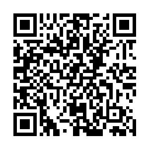 雷林正专心泡着一杯由黄色花瓣和绿色花蕊组成的奇异花茶二维码生成