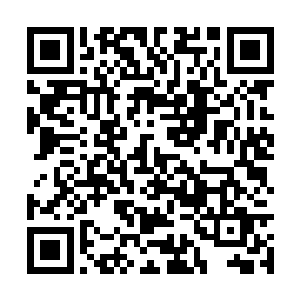 雷林此时不仅可以获得男爵原本法奥兰男爵的爵位二维码生成