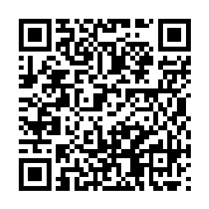 雷林此时已经转移到了原本那个大酋长的宫殿当中二维码生成