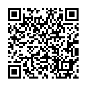 雷林现在才有功夫打量了一下莱昂诺这位二级巫师的办公室二维码生成