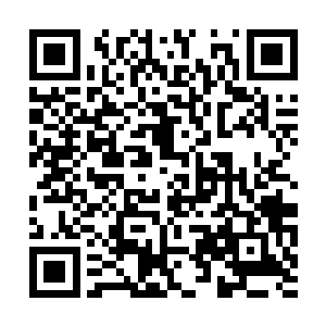 雷林甚至能隐隐感受到萦绕在他们周围冤魂的哀啼二维码生成