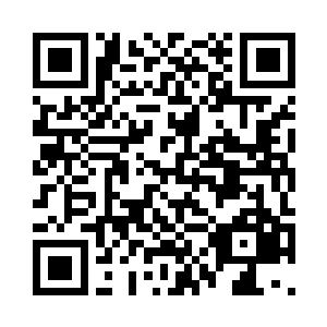 雷林看着地上已经破碎的三个缚魂球二维码生成