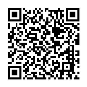 雷林立即通过芯片查到了有关这种生物的有关记载二维码生成