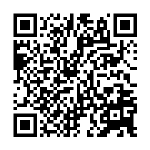 雷林觉得不把对方脑子里面的东西全部挖出来之前二维码生成