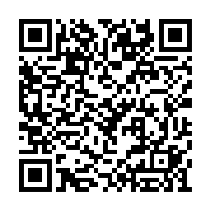 雷欢喜一直都在听着爸爸说的每一句话每一个字二维码生成