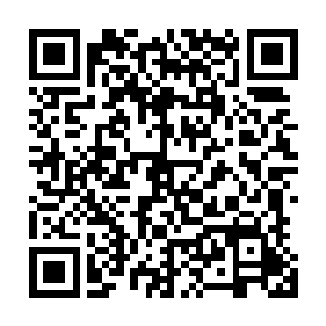 雷欢喜也不知道甜甜今天把他们这对兄弟带到这里来做什么二维码生成