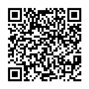 雷欢喜也不知道这个小姑娘在这个时候提起霍奇森夫人做什么二维码生成
