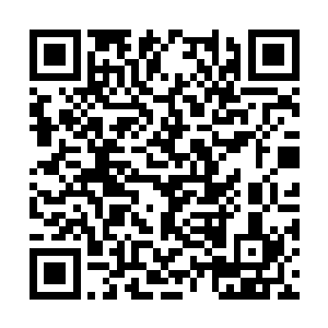 雷欢喜可不会傻到把事情的真相全部告诉给蒋桂忠二维码生成