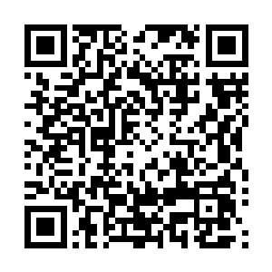 雷欢喜怎么也都不会想到自己在冯大东的日记里看到了什么二维码生成