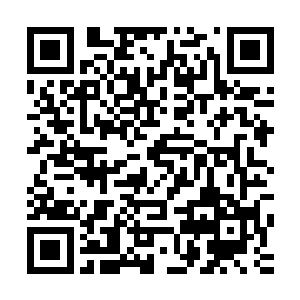 雷欢喜甚至清楚的看到了金色巨龙眼里那悲哀和不舍得的表情二维码生成
