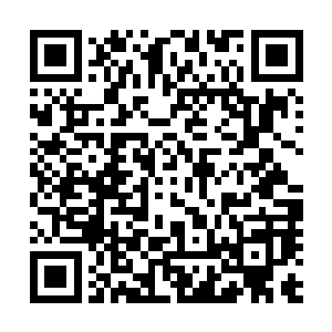 雷欢喜绝对不敢相信自己在欧鑫根的这本日记里看到了什么二维码生成