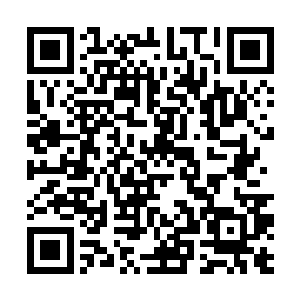 雷欢喜身体里刚才那股澎湃的力量一下子全部消失了二维码生成