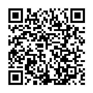 雷欢喜鬼魅一般的在这群企图逃跑的斑鬣狗群中杀戮着二维码生成