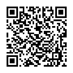 雷洛以及他的小伙伴跟着族群迁移也离开了这个小镇二维码生成