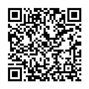 雷海叶在死后身体里的这种特殊物质也神秘的消失了二维码生成