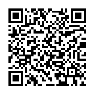 雷海叶这时候才发现自己的后背全被汗水给浸湿了二维码生成