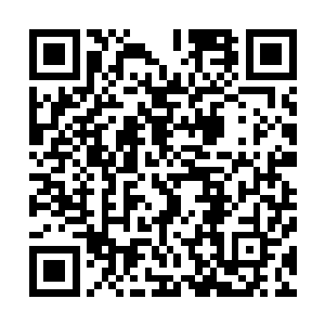雷翅金鹏凄厉惨叫声同样传入其他三头中级妖兽霸主的耳中二维码生成