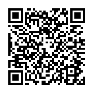 雷蛇一刻不停的看着全息投影出来的泽安湖周围的影像二维码生成