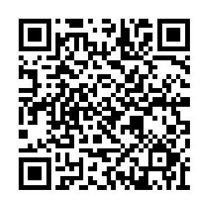 雷霆黑龙的身体在下一刻就被射穿了无数个窟窿二维码生成