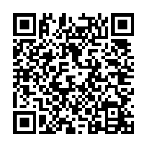 雷震子也绝不信这个阴冷的家伙会把他妹妹当回事二维码生成