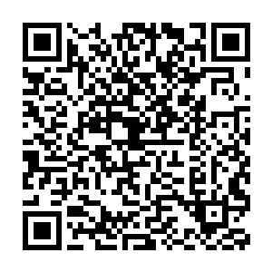 需知不是什么地方都能像不灭天谷这里一样拥有浓郁充沛的阳火元素二维码生成