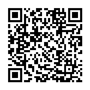 需知他刚开始来的时候为了找到邪源差点没转晕了头二维码生成