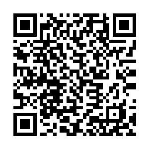 需要亮出点真本事让新学员对学院和课程水平有信心二维码生成