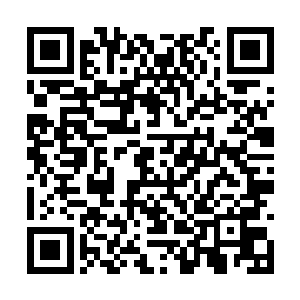 需要作为尖兵的李金方是撒旦佣兵团里负重最轻的二维码生成