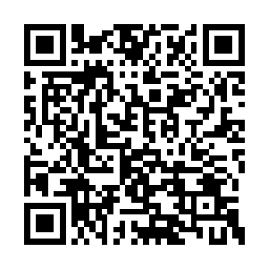 需要利用八种不同的木属性能量和源木之力结合二维码生成