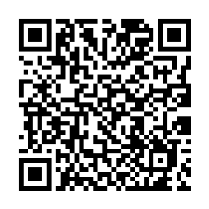 需要客人的号码是因为妹妹到的时候才方便联系客人二维码生成