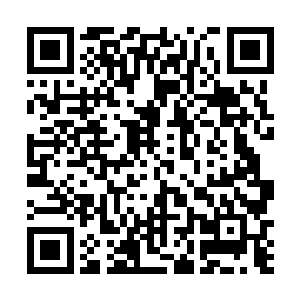 需要将自己的一缕神识烙印在张无界体内的一丝生机上二维码生成