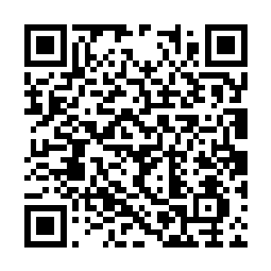 需要我们找个有稳定气息源源不断滋生的地方修炼二维码生成