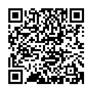 需要我替你回忆一下你们知跃者的回忆中不太美好的那部分吗二维码生成