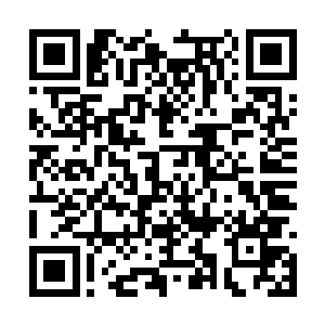 需要我靠运气抓到一只不小于两百斤的活野猪……二维码生成