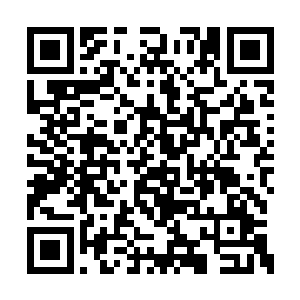 需要的各种可食性草药也和汤药有着相同的问题二维码生成