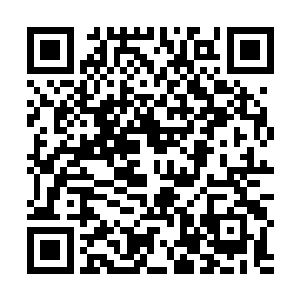 需要通过两道装有电磁感应安全装置的铁门方可进入7号营二维码生成
