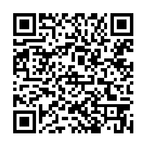 需要重新输入密码……页面失效……这些天什么都不顺二维码生成