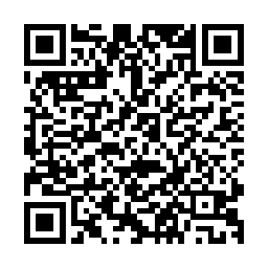 需要防范的就只有对方的精英小队突袭与斩首战术……接下来二维码生成