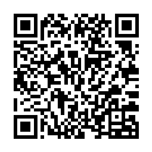 震川先生当年因为痛悼亡儿这样出自肺腑的人间至情二维码生成