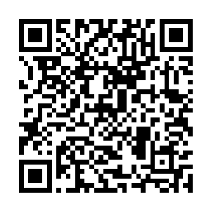 震惊天下的叛乱在这座城池上留下的痕迹还未去除二维码生成