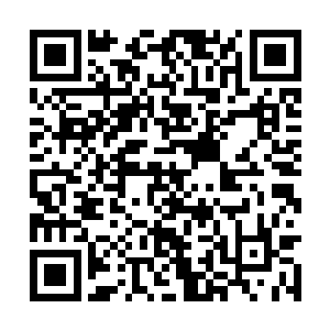 震撼的动作场面和恢弘的背景音乐足以让观众亢奋二维码生成