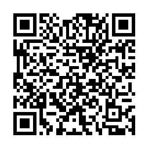 震耳欲聋的声音让整个武道馆的气氛都沸腾了起来二维码生成
