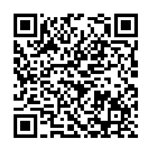 震荡之力随着弥漫天地的血色丝线直扑楚江王而去二维码生成