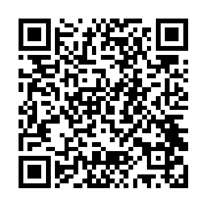 震裂的丹田虽然也已经在生命圣泉的治愈下修复完好二维码生成