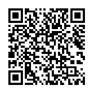 霍亦擎没想到夜晚的病娇夏天萌也会这么简单的就同意离开二维码生成