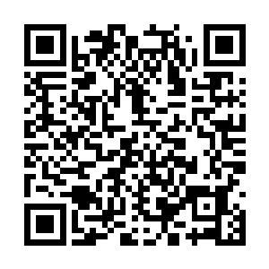 霍君瑶才对这个救了他们一命的名词起了些许疑惑二维码生成