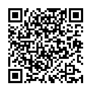 霍君白不用回头也知道是那只火羽仙鹤在自己背后偷袭二维码生成